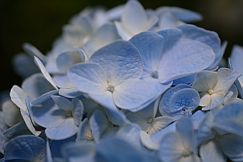 resize0257