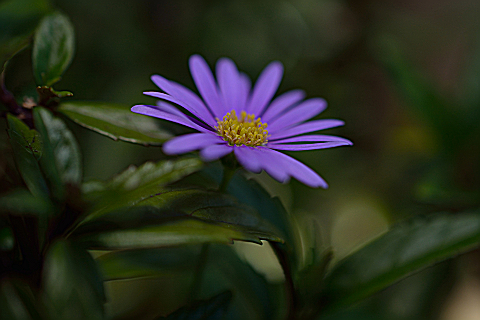 resize0315